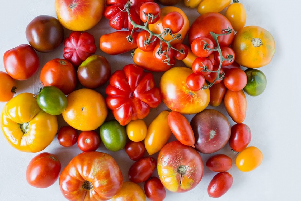 Vallásvariációk. Kortárs kutatások Romániában és Magyarországon - konferenciafelhívás